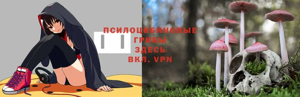 2c-b Заволжск