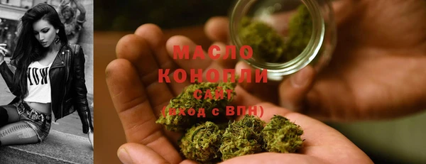 сатива Сясьстрой