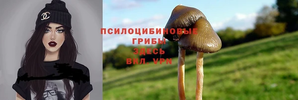 кокаин перу Заводоуковск