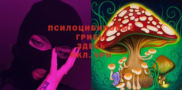СК Заволжье